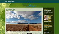 FMskin8.css