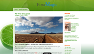 FMskin14.css